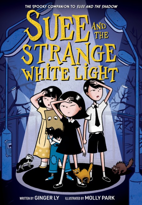 Cover image for Suee and the Strange White Light (Suee and the Shadow Book #2) 