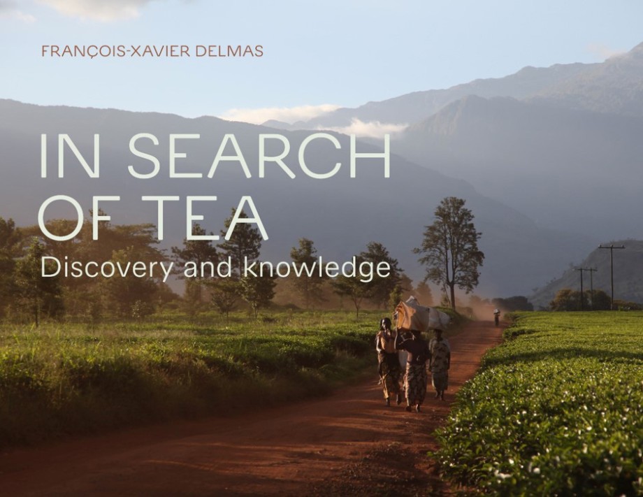 Cover for In Search of Tea Discovery and Knowledge