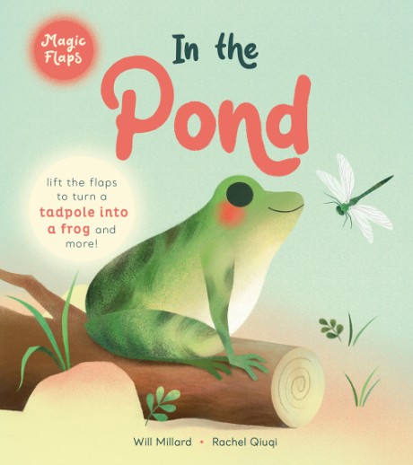 Cover image for In the Pond A Magic Flaps Book