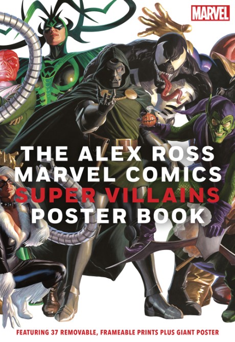 Cover image for Alex Ross Marvel Comics Super Villains Poster Book 