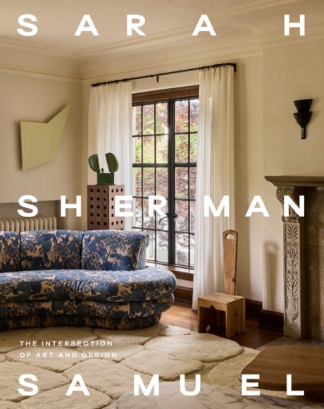 Cover image for Sarah Sherman Samuel The Intersection of Art and Design