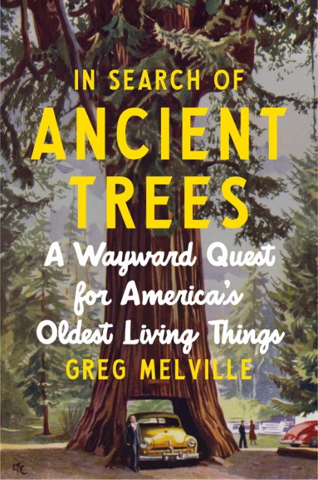 In Search of Ancient Trees A Wayward Quest for America&rsquo;s Oldest Living Things