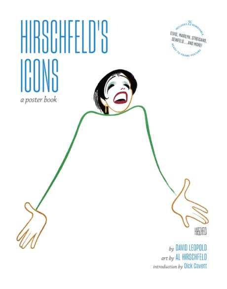 Cover image for Hirschfeld's Icons A Poster Book