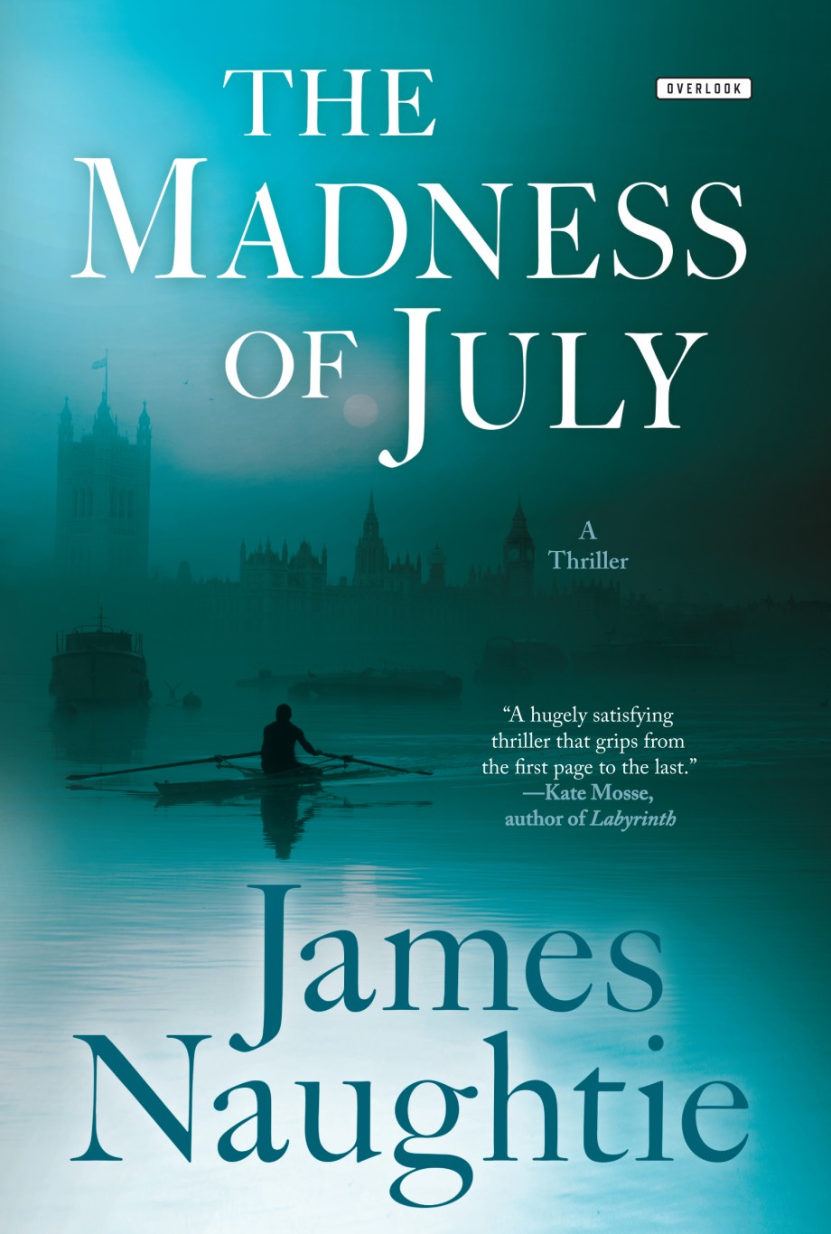 Cover for Madness of July A Thriller