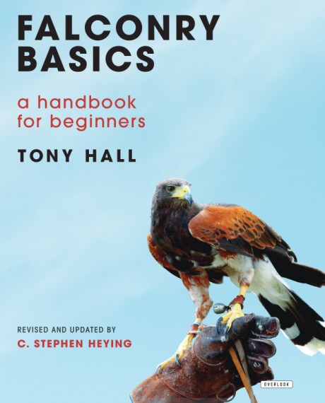 Cover image for Falconry Basics A Handbook for Beginners