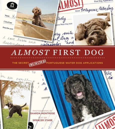 Cover image for Almost First Dog The Secret (Rejected) Portuguese Water Dog Applications