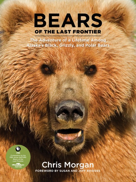 Cover image for Bears of the Last Frontier The Adventure of a Lifetime among Alaska's Black, Grizzly, and Polar Bears