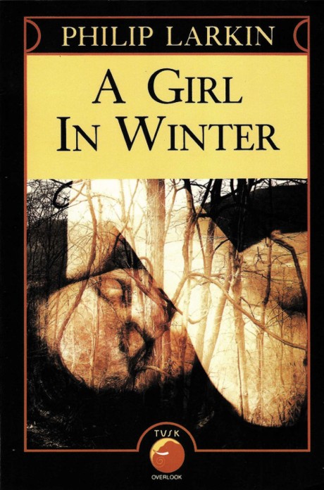 Cover image for Girl in Winter 