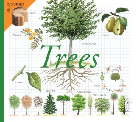 Cover image for Trees 