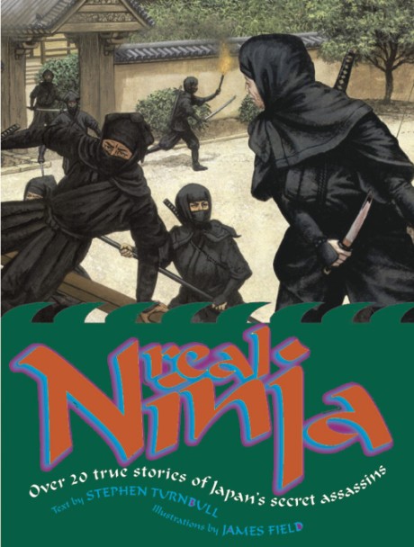 Cover image for Real Ninja 