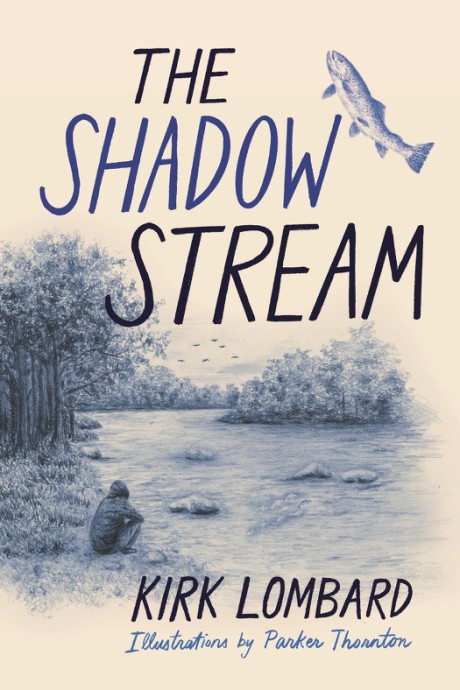 Cover image for Shadow Stream