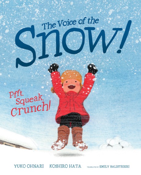 Cover image for Voice of The Snow