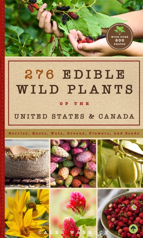 Cover image for 276 Edible Wild Plants of the United States and Canada Berries, Roots, Nuts, Greens, Flowers, and Seeds in All or the Majority of the US and Canada