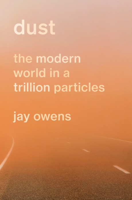 Cover image for Dust The Modern World in a Trillion Particles