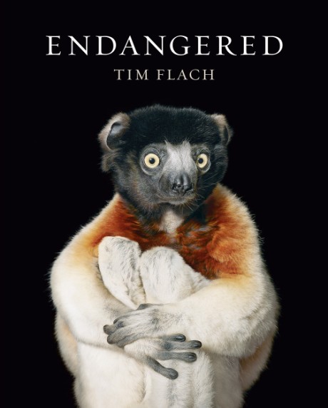 Cover image for Endangered 