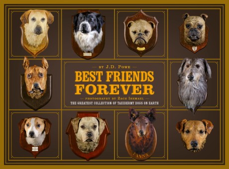 Cover image for Best Friends Forever The Greatest Collection of Taxidermy Dogs on Earth