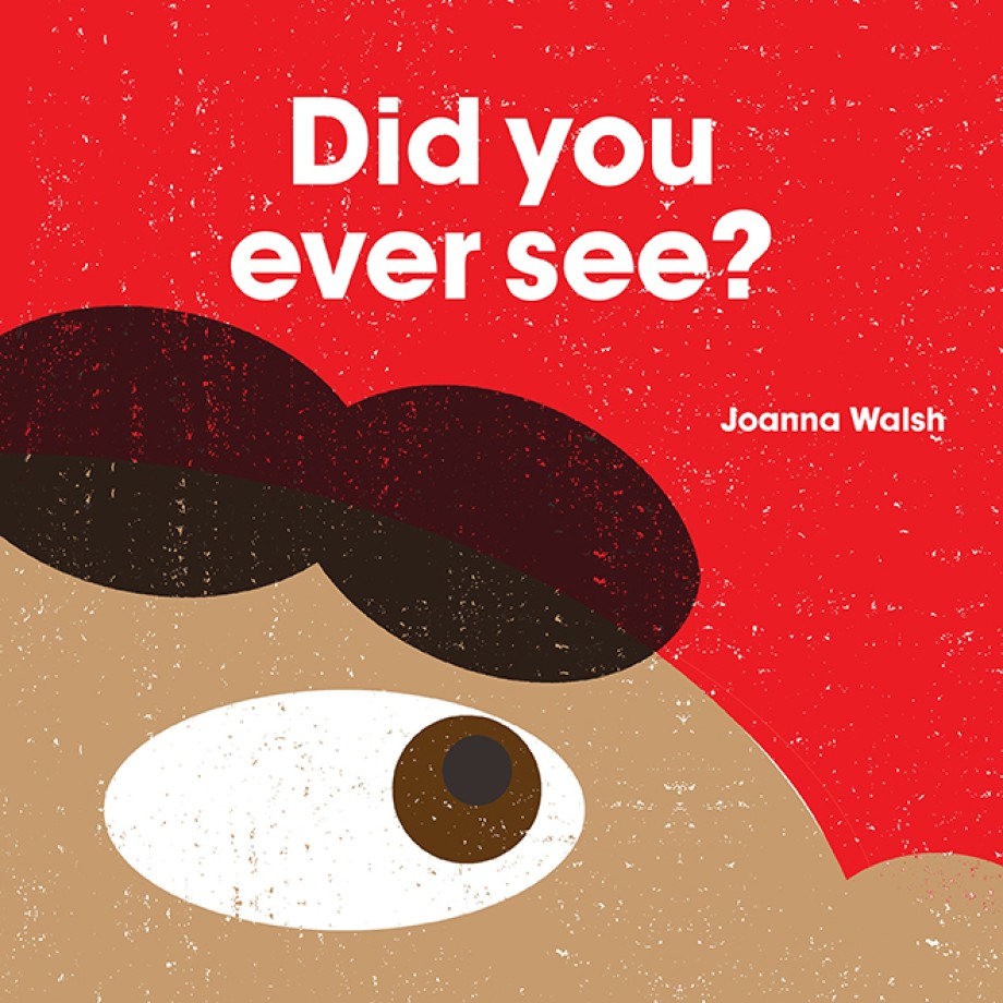 Cover for Did You Ever See?