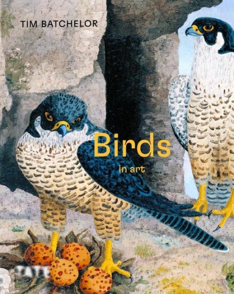 Cover image for Birds 