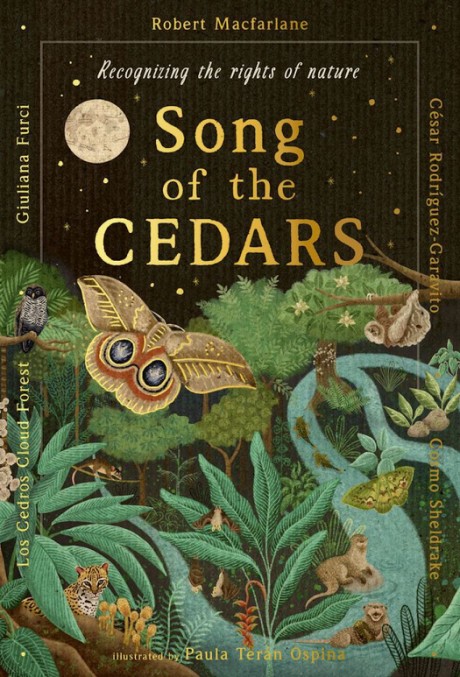 Cover image for Song of the Cedars