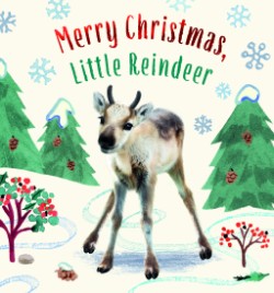 Cover image for Merry Christmas, Little Reindeer 