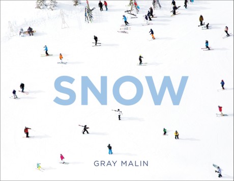 Cover image for Gray Malin: Snow