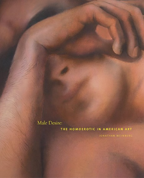 Male Desire The Homoerotic in American Art