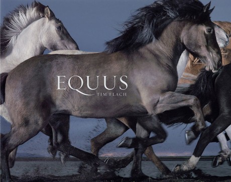 Cover image for Equus 