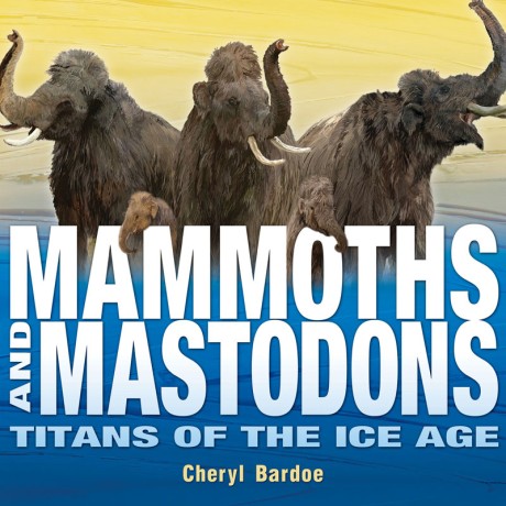 Cover image for Mammoths and Mastodons Titans of the Ice Age