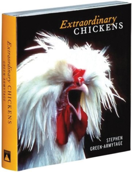 Extraordinary Chickens 