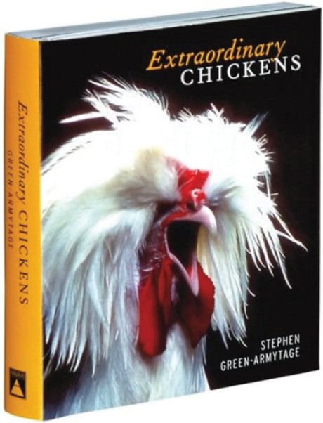 Cover image for Extraordinary Chickens 