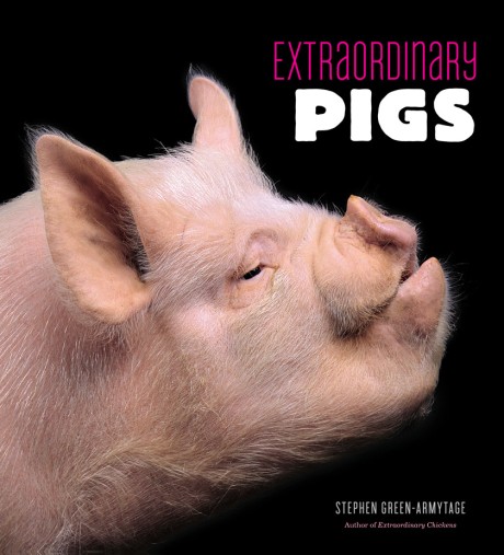 Cover image for Extraordinary Pigs 