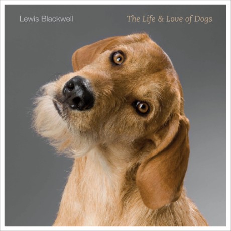 Cover image for Life & Love of Dogs 