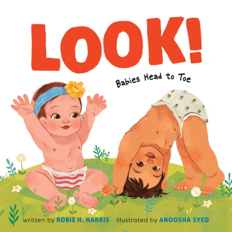 Cover image for Look!: Babies Head to Toe A Board Book