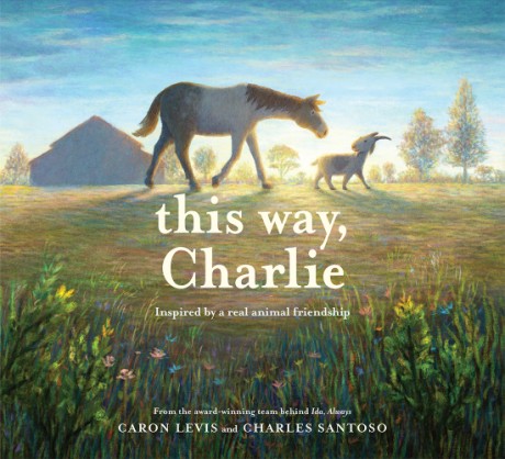 Cover image for This Way, Charlie A Picture Book