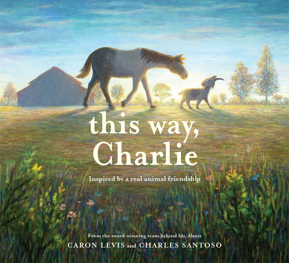 Cover for This Way, Charlie A Picture Book