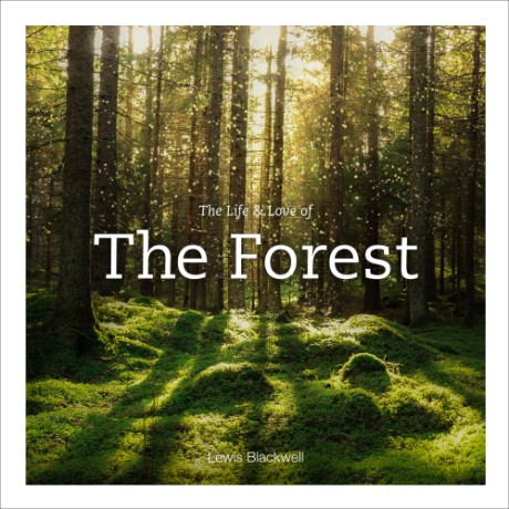 Cover image for Life & Love of the Forest Photographs