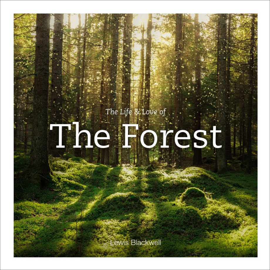 Life & Love of the Forest Photographs