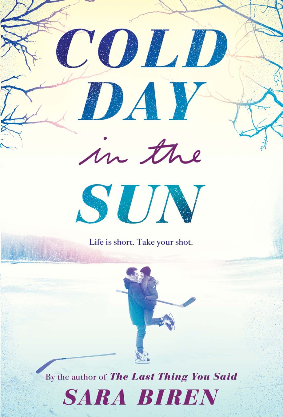 Cover for Cold Day in the Sun A Novel