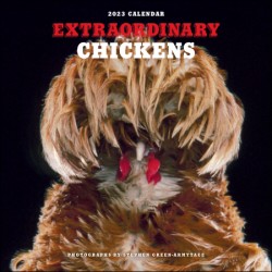 Extraordinary Chickens 2023 Wall Calendar 