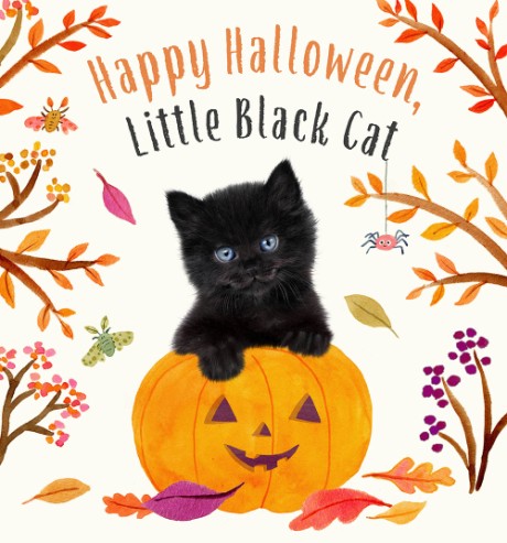 Cover image for Happy Halloween, Little Black Cat A Board Book