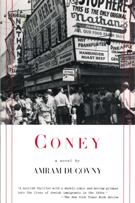 Cover image for Coney 