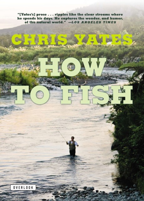 Cover image for How To Fish 