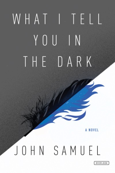 What I Tell You In the Dark A Novel