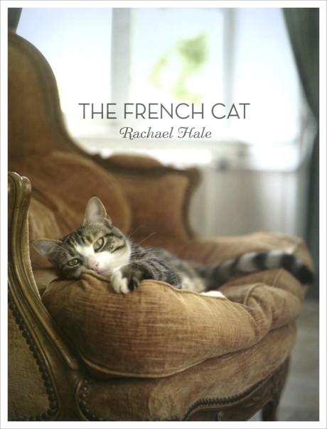 Cover image for French Cat Photographs