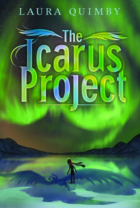 Cover image for Icarus Project 