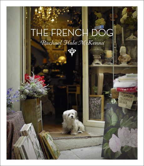 Cover image for French Dog (Mini) 