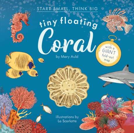 Cover image for Tiny Floating Coral (Start Small, Think Big #3) 