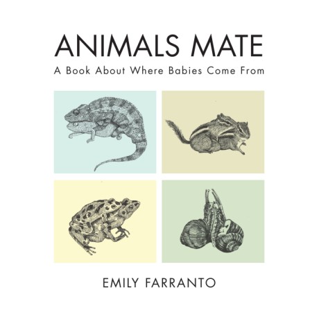 Cover image for Animals Mate A Book About Where Babies Come From
