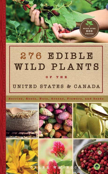 Cover image for 276 Edible Wild Plants of the United States and Canada Berries, Roots, Nuts, Greens, Flowers, and Seeds in All or the Majority of the US and Canada