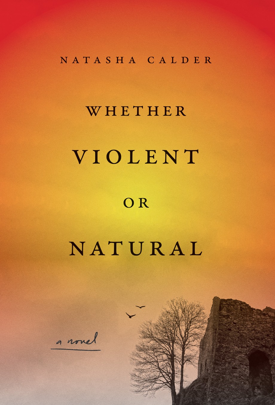 Cover for Whether Violent or Natural A Novel